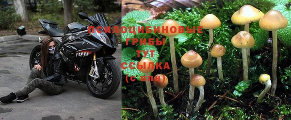 синтетический гашиш Вяземский